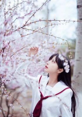 欧美bt种子无码_在线观看电视剧